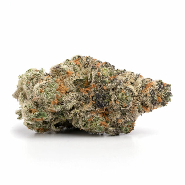 Gelato 33